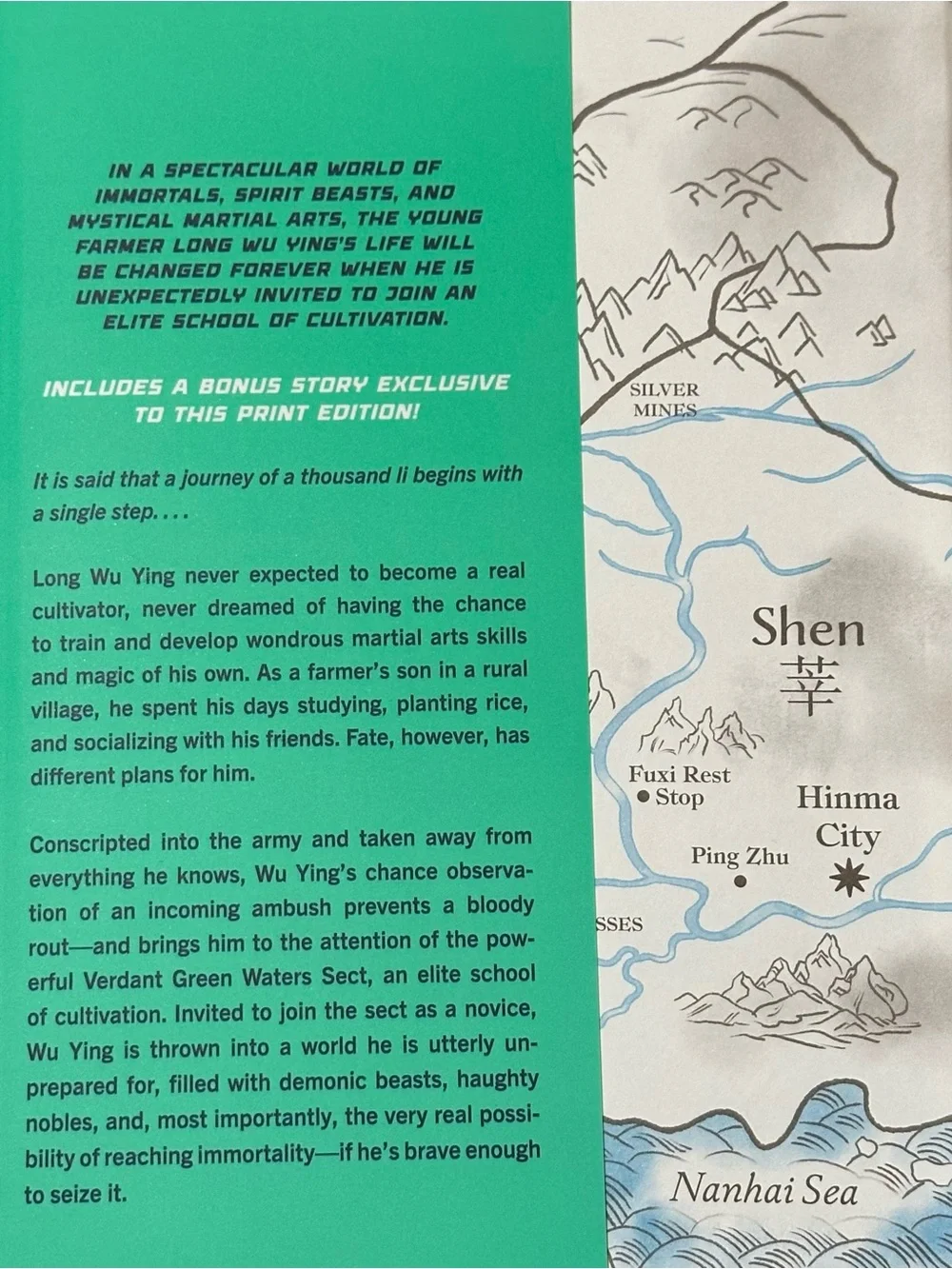 The First Step by Tao Wong - Hardcover - Picture 4 of 11